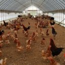 이화농장 이미지