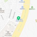 낭만펫 강아지분양 고양이분양 대전 본점 네이버블로그