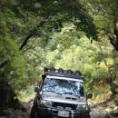 디테일킹 이미지