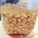 낭띠발아