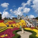 사선대야영장 이미지