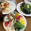 로사브릭스571 | 장성 분위기 좋은 브런치 카페 맛집 : 로사브릭스571 내돈내산 솔직 후기