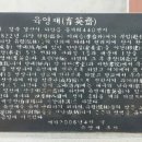 육영재 이미지