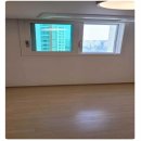 윤스클린입주청소 - 김포시 김포한강8로 410 | 윤스클린입주청소