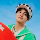 탠저린드림 이미지