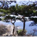신동해(주) 이미지
