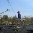 성산2리마을회관 이미지