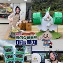 사곡로 | 경북 의성 가볼만한곳 마늘축제 농촌체험 크리에이투어 쿠킹클라스 후기