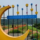 정시원콩나물국밥 이미지