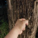 월천근린공원 이미지