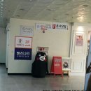 으뜸50안경대전둔산점 이미지