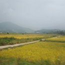 덕동달구지펜션 | 제천 덕동계곡,달구지 펜션 힐링하기 좋은곳