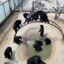 옹기종기 이미지