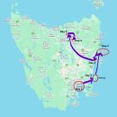 CAR UP | [태즈매니아 3박4일] Apex Car Rentals 렌터카 업체 후기, 태즈매니아에서 가장 저렴하게 빌리기, 편도...