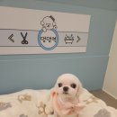 아리미용실 이미지