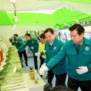 대구광역시 중구청 이미지