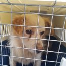 계명마트 이미지