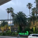 소더스111 이미지