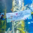 월트솔루션 이미지