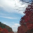 백아면사무소 이미지