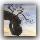 김해건설공업고등학교 이미지