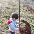 시진농장 이미지