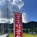 원주 매지리 대추나무 막국수 재방문 후기 (수육은 꼭..)