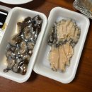 해원수산식당 | 속초중앙시장 맛집리스트 수산시장 회포장 솔직후기