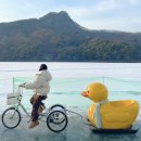 100년 서서갈비 | 포천 산정호수 썰매축제 주차·기간·가격·시간·먹거리·오리썰매