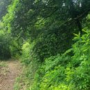 농암초등학교청화분교장 이미지