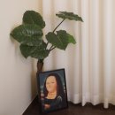 대명6동 주민센터 | 대구 앞산카페, 아이러빗 ::인스타감성의 분위기좋은 카페.나만 알고싶은 곳