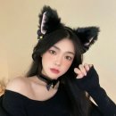 307 이미지