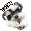 미사서울동물병원 이미지