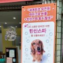 폴짝그루밍 이미지