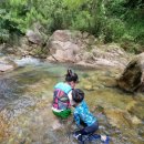 원효계곡 펜션 이미지