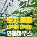 대곡면-5 이미지