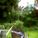 대잠도서관 이미지