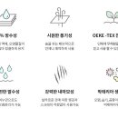 초읍가구