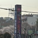 남망길 | [나의 통영 웰니스 여행 다이어리] 3/27-4/1 / DAY1 출발, 진해군항제 찍먹, 휘바, 서피랑떡복기집...