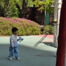 광명경찰서 | 광명경찰서 30개월 아이 미아방지 지문 등록 후기: 안전드림앱 이용과 경찰서 등록방법