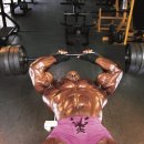 올림피아 이미지