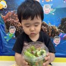 시립당수동어린이집 이미지