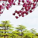 유엔기념공원주차장 이미지