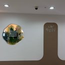 삼공헤어 | [서울/강남 논현왁싱] 여성전용 왁싱샵, 왁싱삼공 | 첫 헤어라인 왁싱 후기