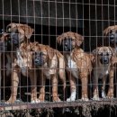 한국1농장 이미지