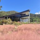 곡성읍내 및 신월천 | 전남 가볼만한곳 곡성 카페 압록 추천 핑크뮬리 주차