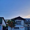 맘스터치 자인점 이미지