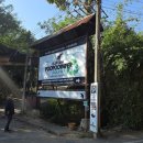 엘리펀트 마켓 | 태국 치앙마이 아이와 가기 좋은 엘리펀트 푸푸페이퍼 파크