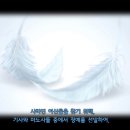 유니카 이미지
