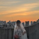 코코플라워 - 거제시 수양로 502 | 8탄, 스튜디오 촬영 플라워 디렉팅업체 후기 [코코무드]강력추천후기..